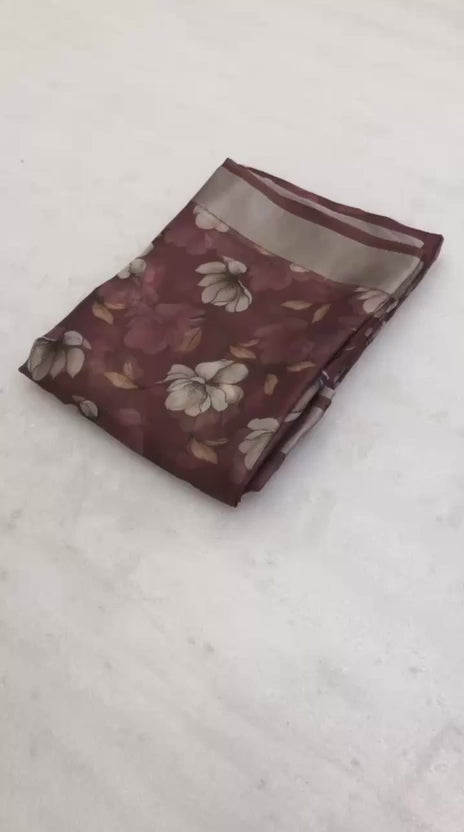 Organza Sarees - Brown